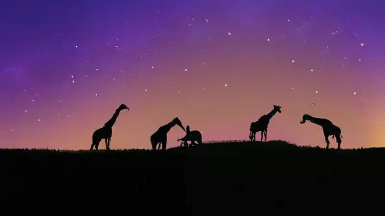 Tiered Assessment in the Classroom